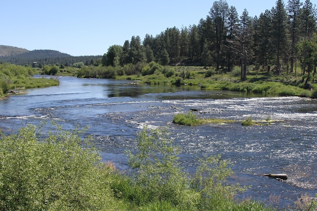 Deschutes Wilderness