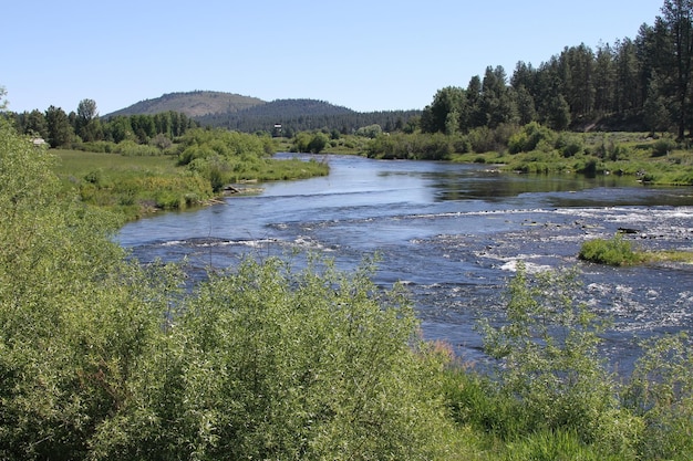 Deschutes Wilderness