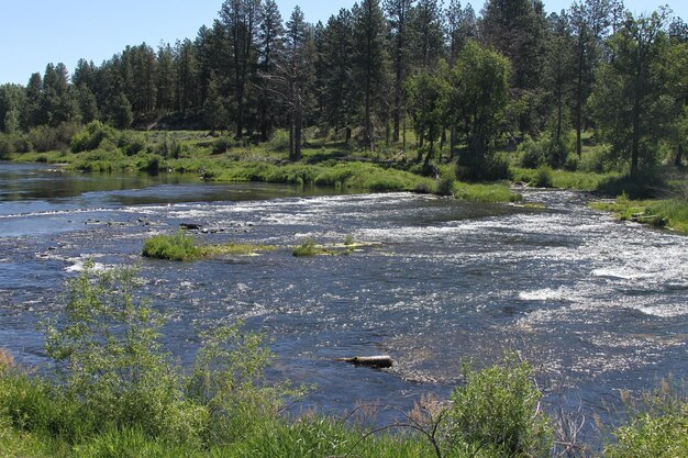 Deschutes Wilderness