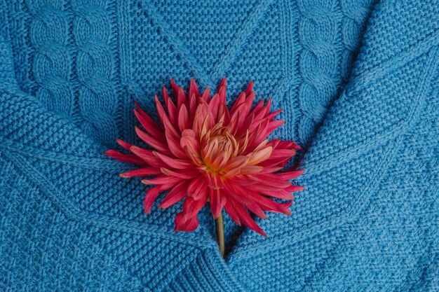 Zdjęcie deseń kolorowych swetrów z dzianiny przeznaczone do walki radioelektronicznej produkt wykonany ręcznie z wełny merynosów stos złożonych ubrań z kwiatami