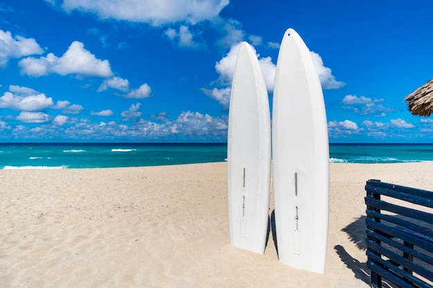 Deski surfingowe czekające na zabawę w słońcu Stand up paddle długie deski deska surfingowa utknęła w piasku na plaży