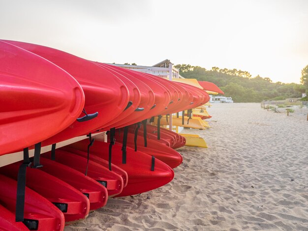 Deski surfingowe do wynajęcia w klubie surfingowym Sporty wodne szczęśliwych aktywnych wakacji