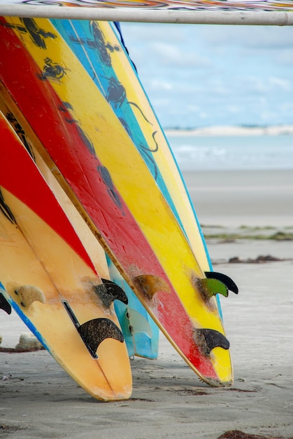 Deski Surfingowe W Jericoacoara