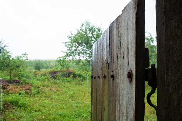 Zdjęcie deszcz na dziedzińcu wiejskiego domu. zielona natura