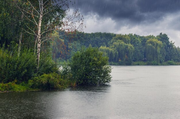 Deszcz w jesiennym parku nad jeziorem Deszczowa pogoda pada deszcz