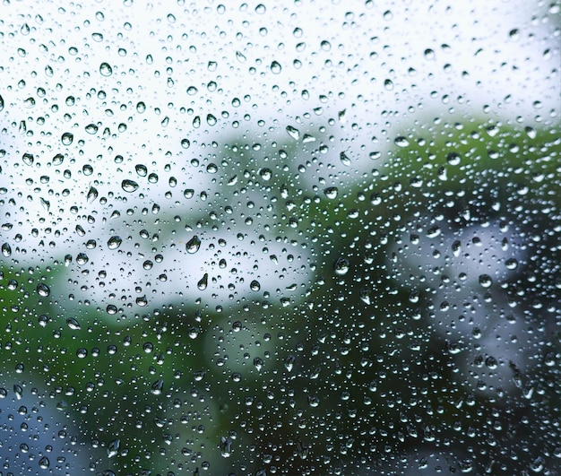Deszczowy dzień i ulewny deszcz