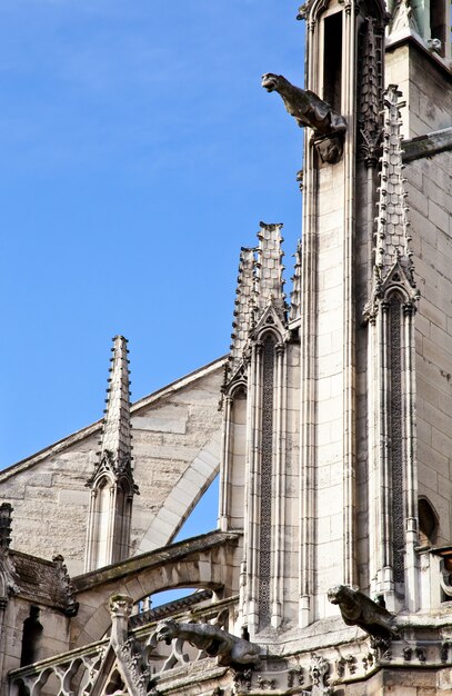 Detal Gotyckiej Katedry Notre Dame W Paryżu