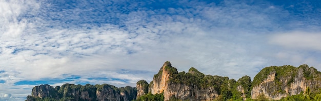 Detal Z Plaży Railay W Tajlandii