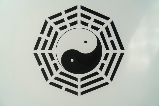 Diagram Tai Chi I Bagua Na Suficie