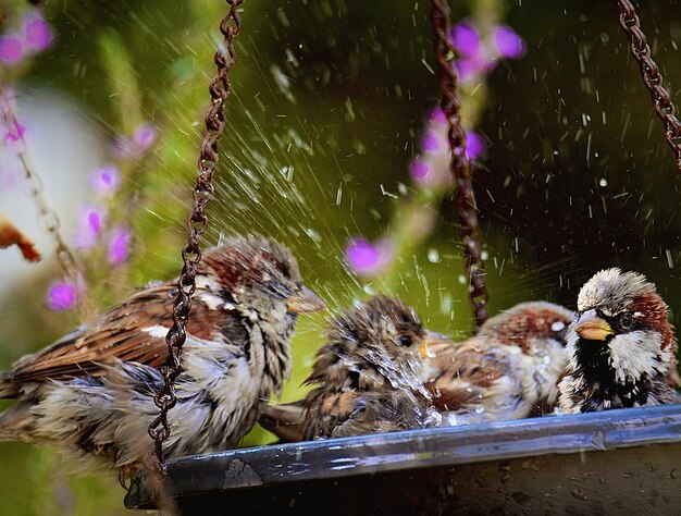 Die wanne ist voll