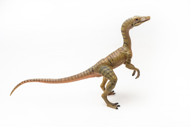 Dinosaur Compsognathus Na Białym Tle