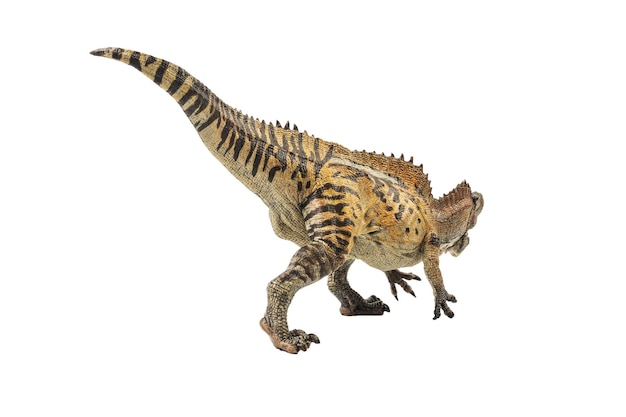 Dinozaur akrokantozaur na białym tle