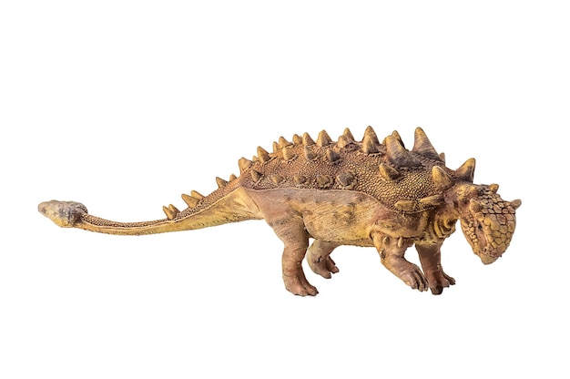 Zdjęcie dinozaur ankylosaurus na odizolowanym tle