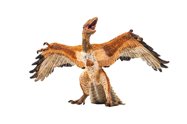 Dinozaur Archaeopteryx na białym tle