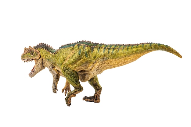 Dinozaur Ceratosaurus Na Białym Tle