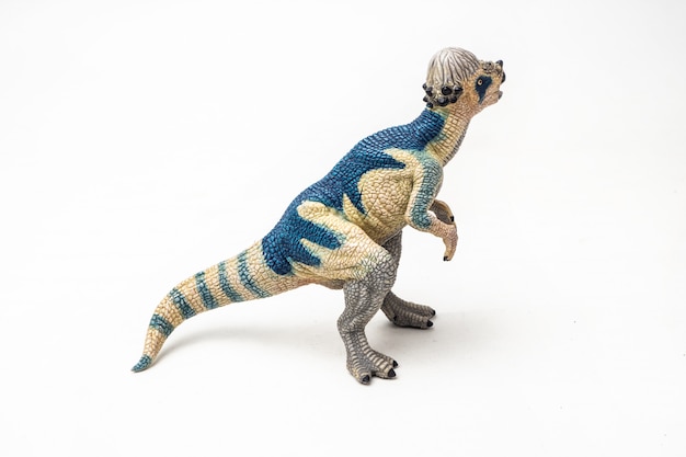 Dinozaur Pachycephalosaurus Na Białym Tle