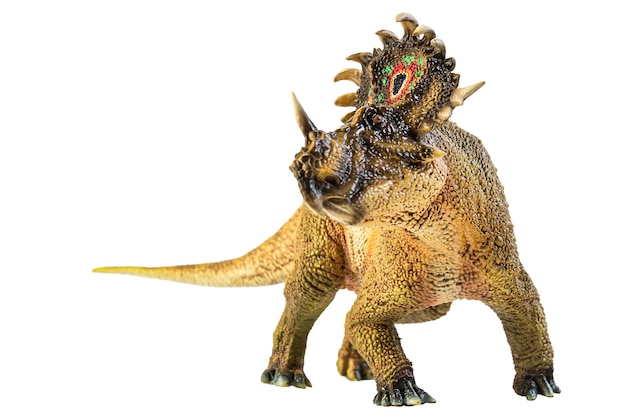 Zdjęcie dinozaur sinoceratops na białym tle