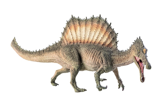 Dinozaur Spinozaur na białym tle