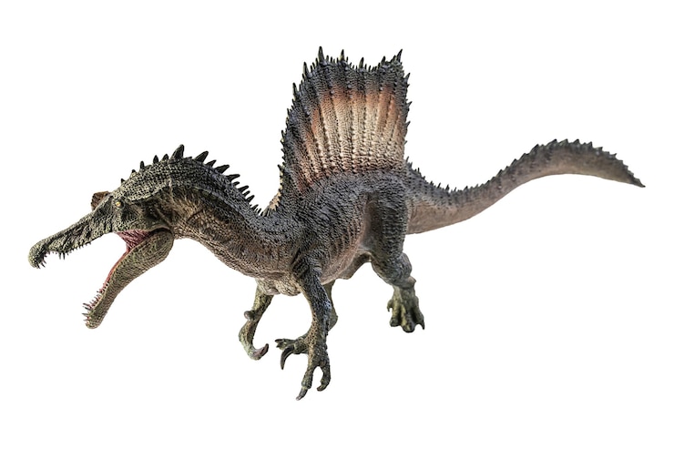 Zdjęcie dinozaur spinozaur na białym tle