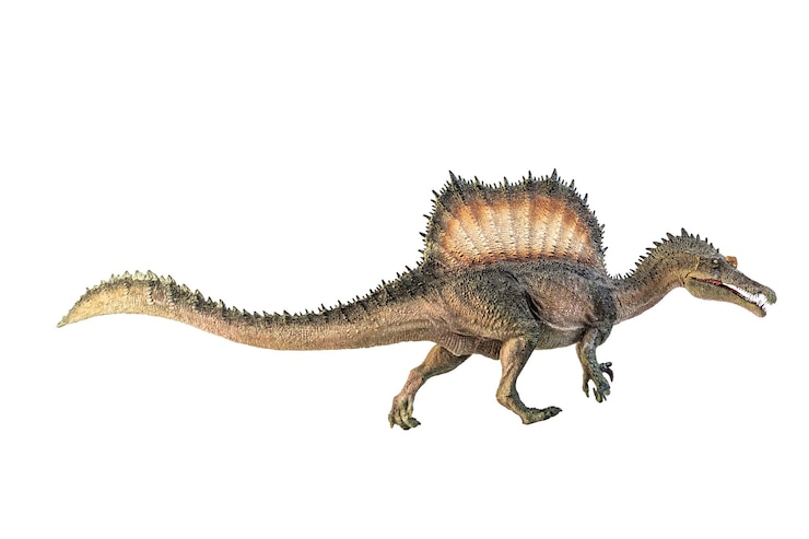 Zdjęcie dinozaur spinozaur na białym tle