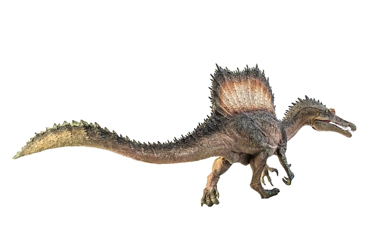 Zdjęcie dinozaur spinozaur na białym tle