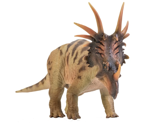 Zdjęcie dinozaur styracosaurus na tle izolowania