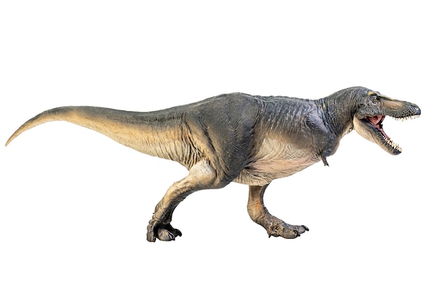 Dinozaur Tarbozaur Na Białym Tle Izolowania ścieżka Przycinająca