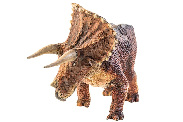 Zdjęcie dinozaur triceratops na białym tle