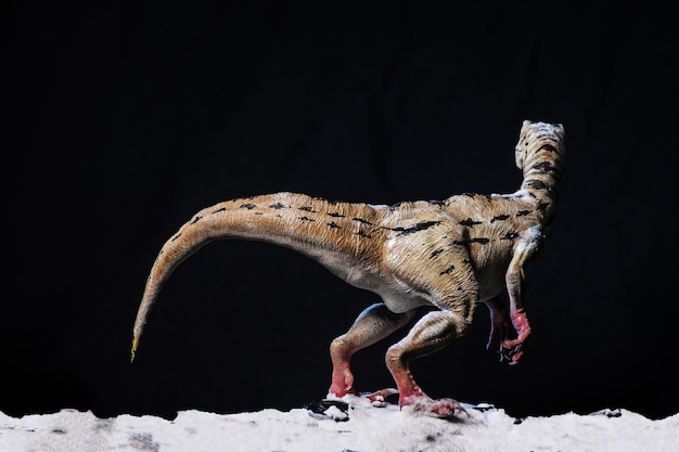 Dinozaur Velociraptor w ciemności