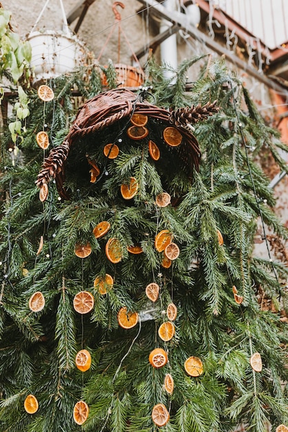 DIY naturalna dekoracja z plasterkiem pomarańczy na świątecznej gałęzi sosny