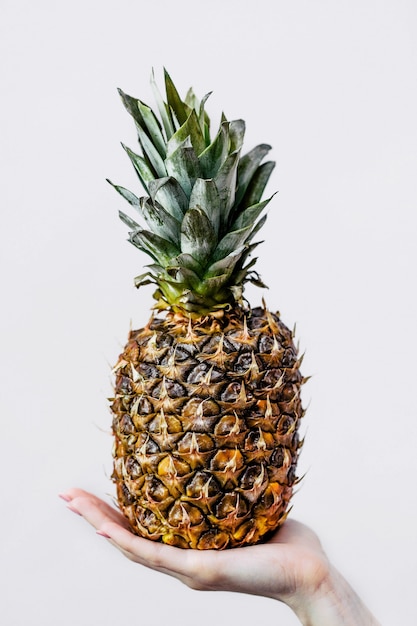 Dłoń trzymająca ananas