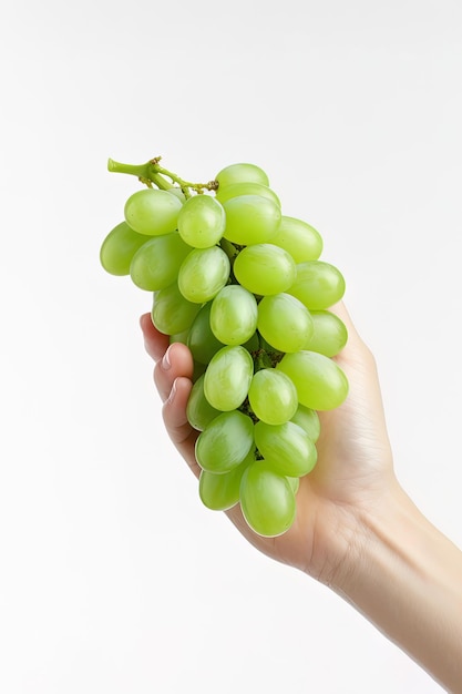 Dłoń trzymająca kiść zielonych winogron izolowana na białym tle