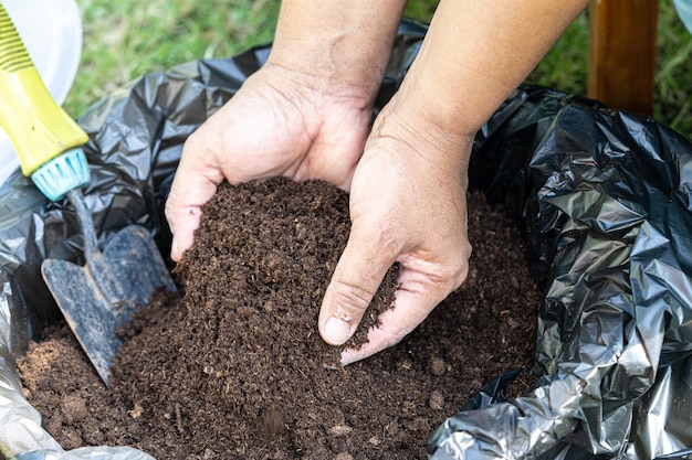 Dłoń trzymająca materię organiczną z mchu torfowego poprawia glebę dla rolnictwa ekologiczna koncepcja ekologii uprawy roślin