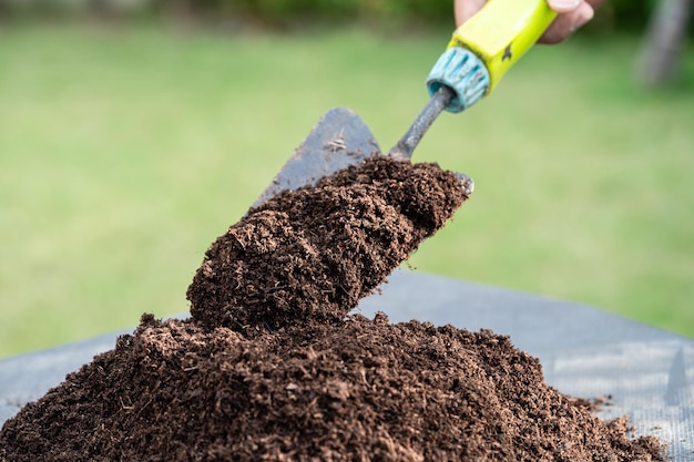 Dłoń trzymająca materię organiczną z mchu torfowego poprawia glebę dla rolnictwa ekologiczna koncepcja ekologii uprawy roślin