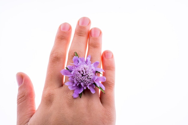 Dłoń trzymająca Purpurowy kwiat