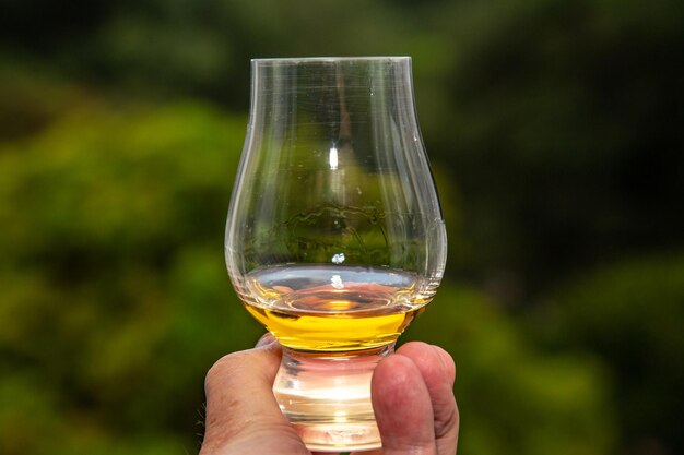 Dłoń trzymająca szklankę whisky z napisem glenlivet.