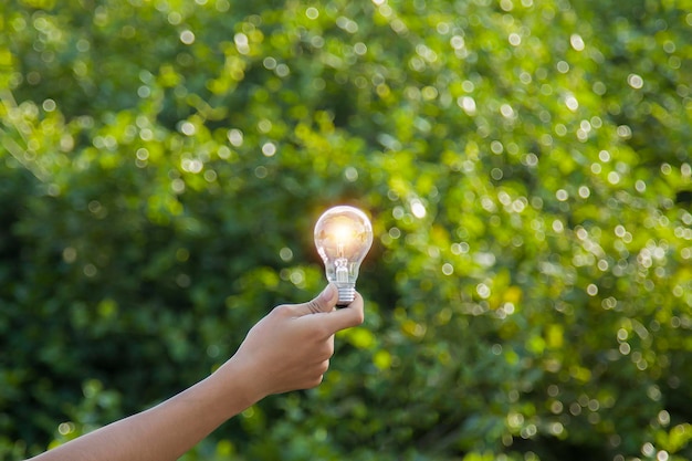 Dłoń trzymająca żarówkęnaturalna energia i miłość do koncepcji świata