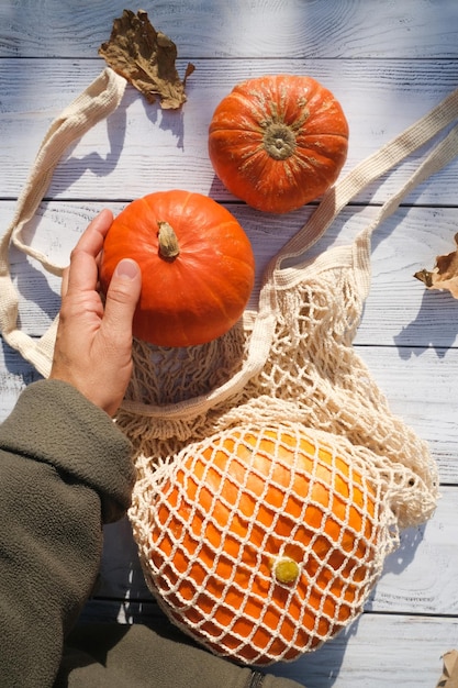 Dłoń z dojrzałymi dyniami w przyjaznej dla środowiska torbie strunowej Jesienna koncepcja zrównoważonego stylu życia