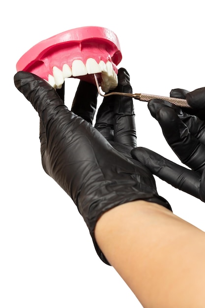 Dłonie dentysty z układem ludzkiej szczęki i narzędziem środkowym