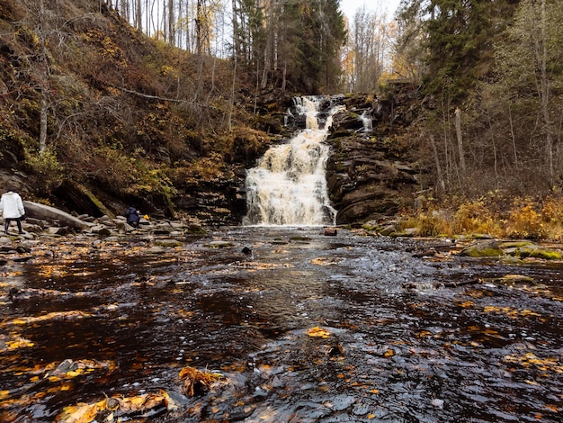 Długa ekspozycja strzał szybki na rzece Ijjoki w pochmurny letni dzień Wodospady Valley Park Karelia Rosja