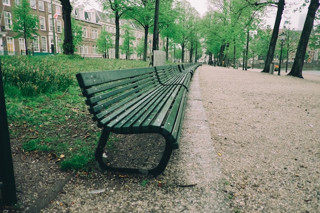 długa ławka w parku