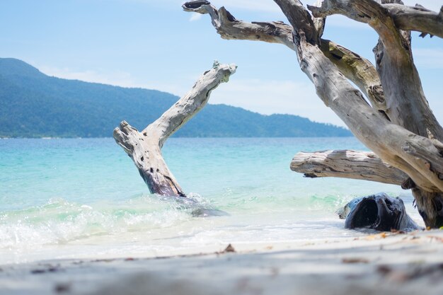 Długi Plażowy Morze Z Szalunkiem I Niebieskim Niebem.