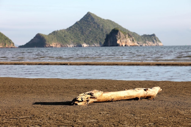 Dobra atmosfera przy plaży