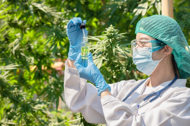 Zdjęcie doctor science z ekstraktem z olejku konopnego sativa, niezbędnym z liści marihuany dla ziołowej rośliny leczniczej.