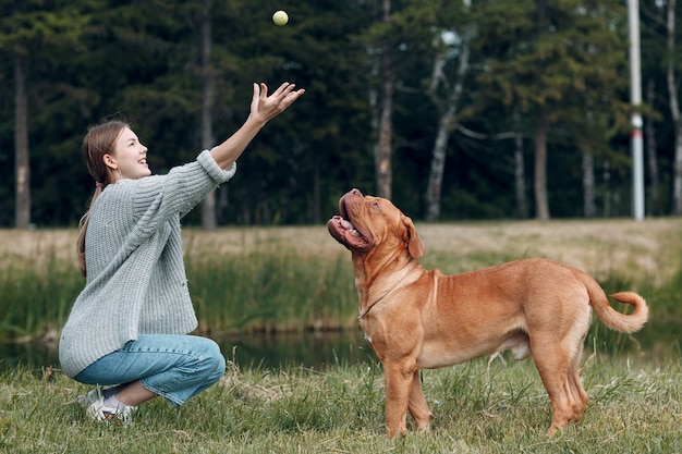 Dogue de Bordeaux lub Mastif Francuski z młodą kobietą grającą w piłkę w parku na świeżym powietrzu.