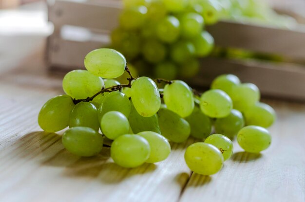 Dojrzałe białe winogrona na zielonym tle