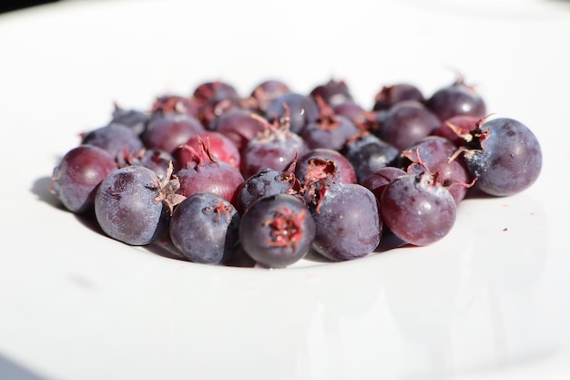 Zdjęcie dojrzałe jagody leżące na białej talerzu