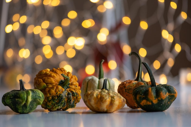 Dojrzałe małe dynie o różnych kształtach Bokeh z festiwalowych świateł Świąteczna koncepcja Halloween party