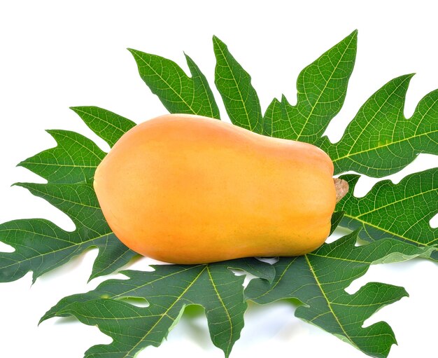Dojrzałe owoce papai na białej ścianie