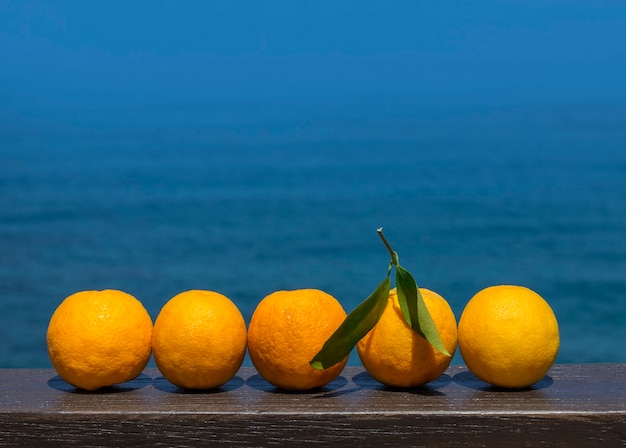 Dojrzałe pomarańcze na widok na morze